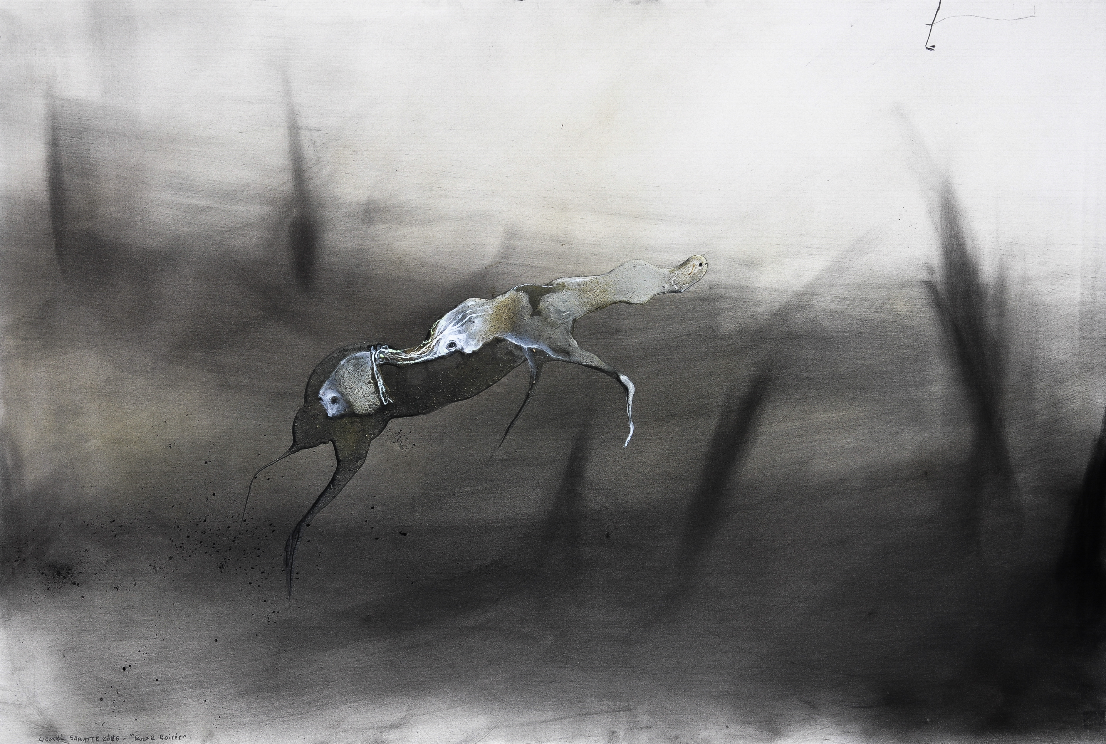 Lionel Sabatte, Caresse boisée, 2016, charbon, medium acrylique et curcuma sur papier, 80 x 120 cm © galerie C
