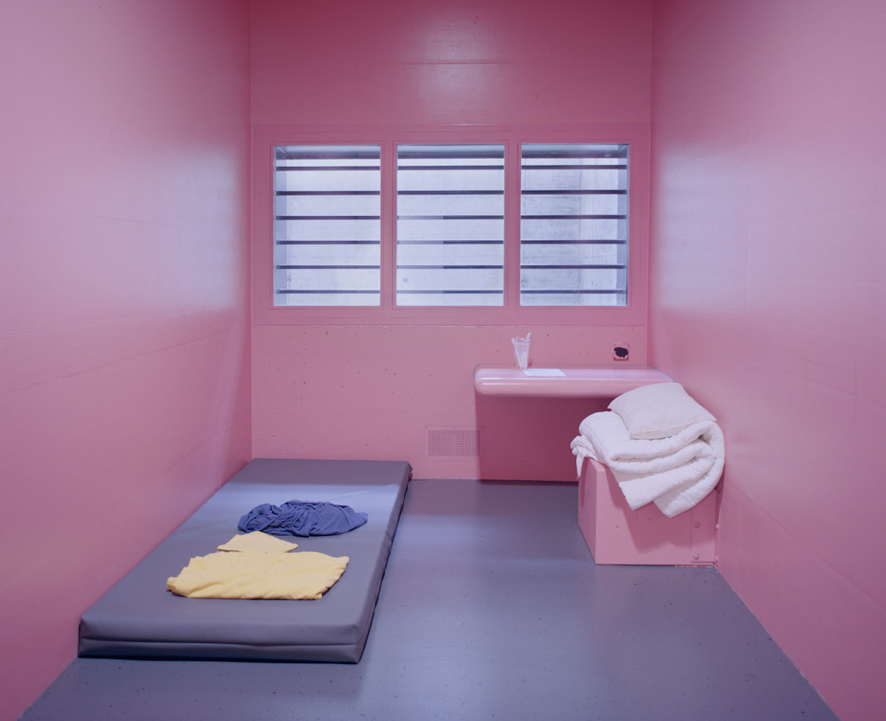 Pink Cells © Angélique Stehli