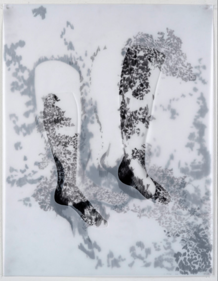 Christine Crozat, MOVING SPECIES N° 9, 2016, graphite et techniques mixtes, 65 x 50 cm