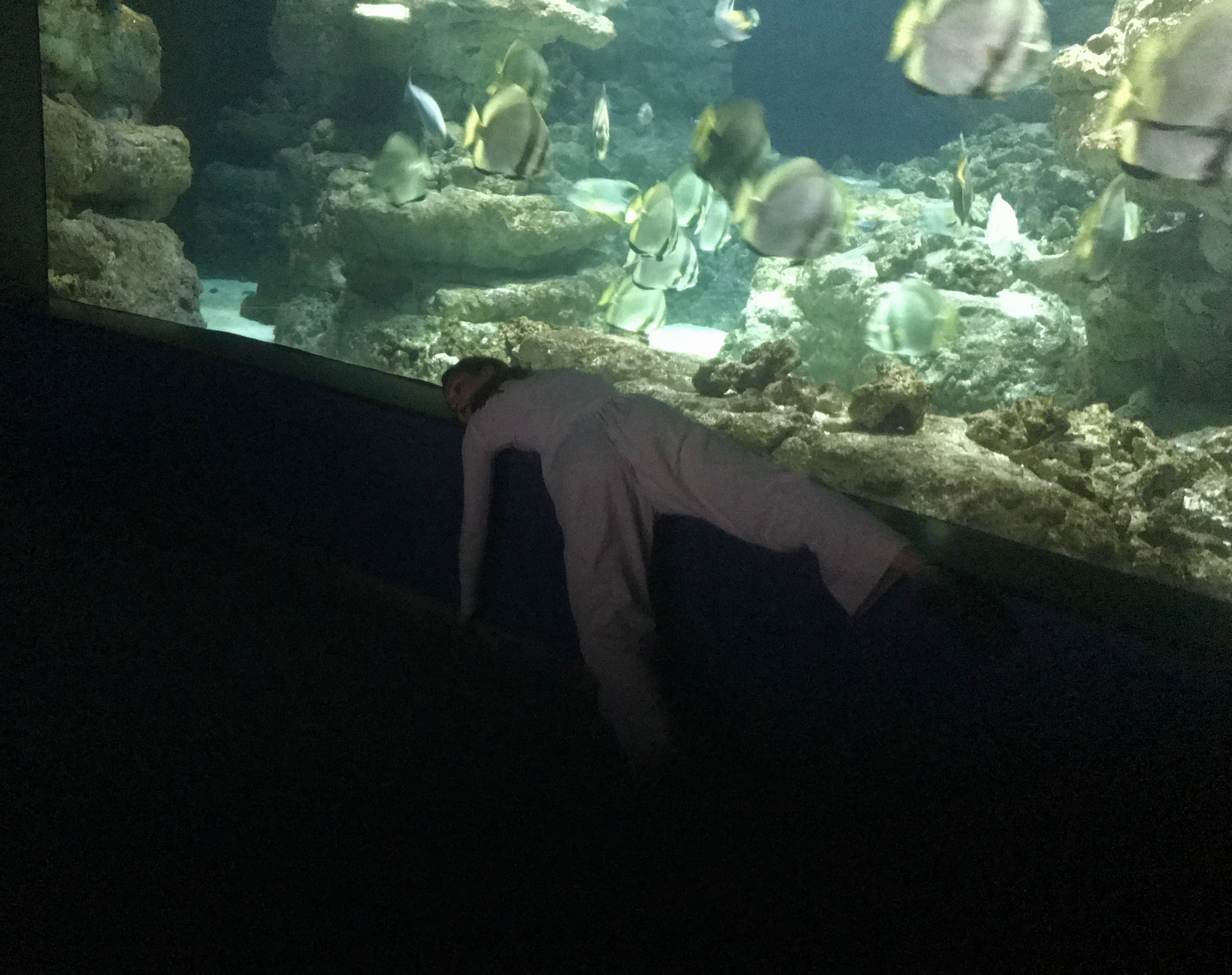 Aki Kuroda, Aquarium de Paris, photo ARTVISIONS.FR