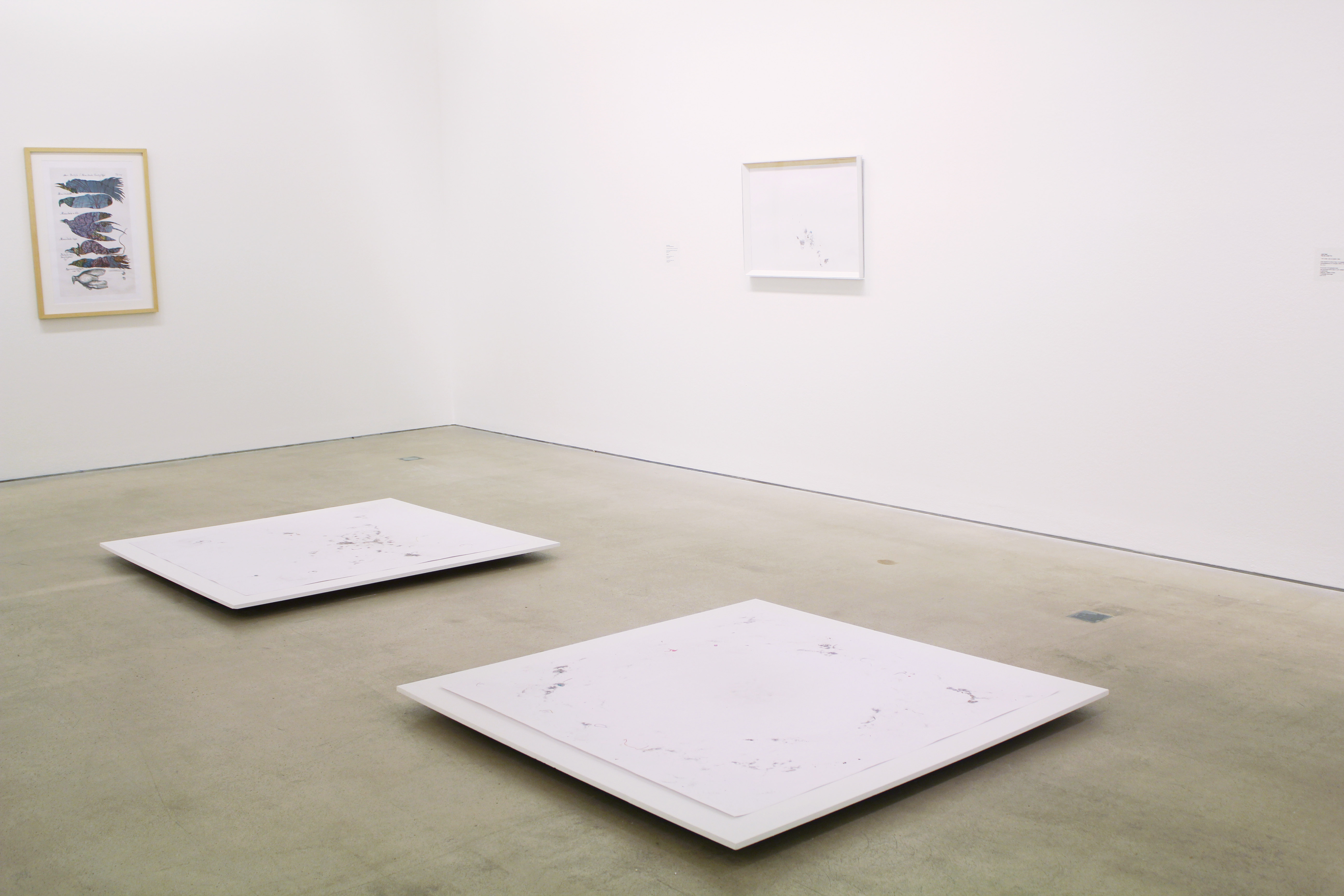 Michail Michailov, dust to dust, installation, 34_Austrian graphic award, Gallery in Taxispalais, Innsbruck 2015
