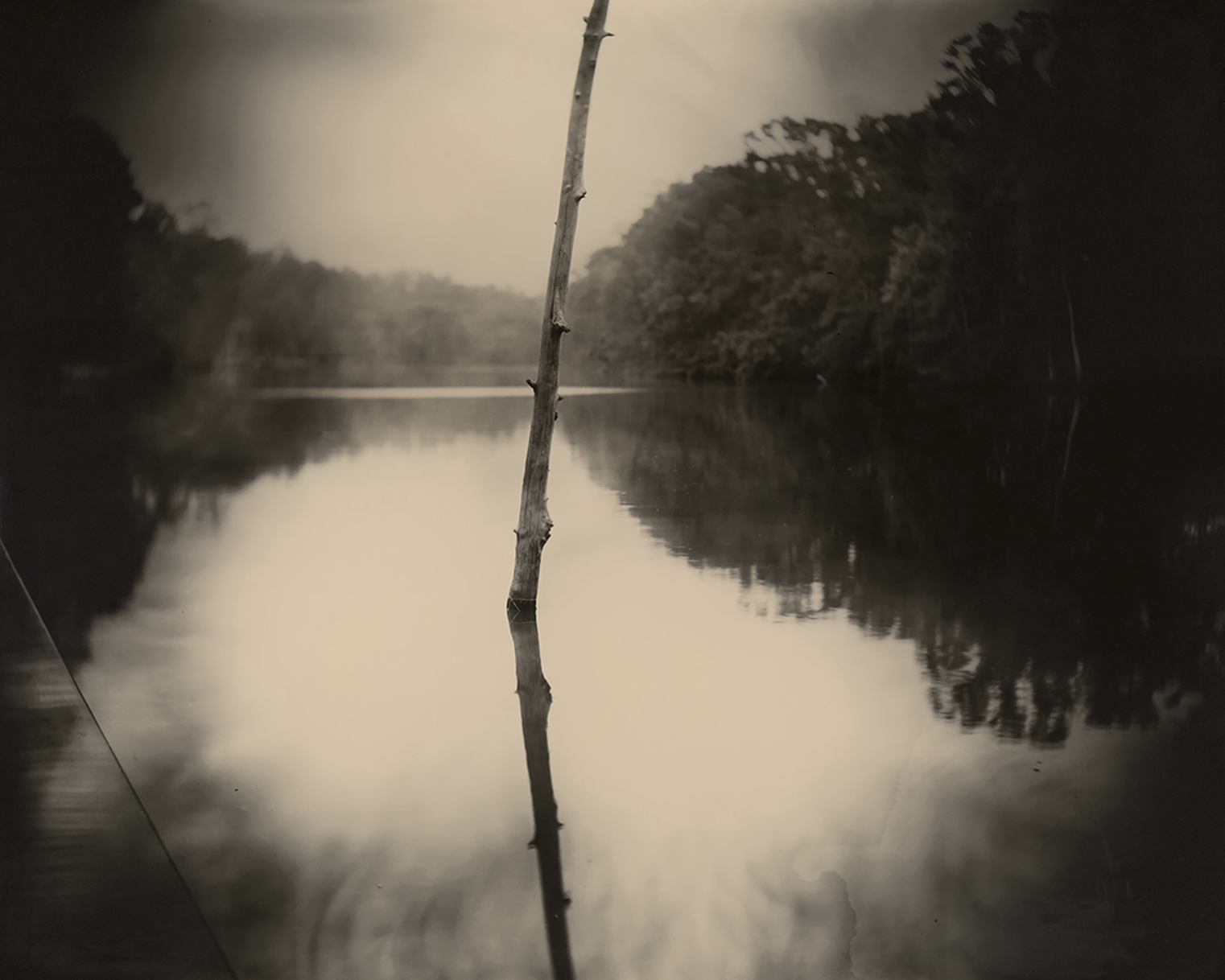 Deep South, Untitled (Stick) 1998 Sally Mann Courtesy of the New Orleans Museum of Art: Collection of H. Russell Albright, M.D. © Sally Mann