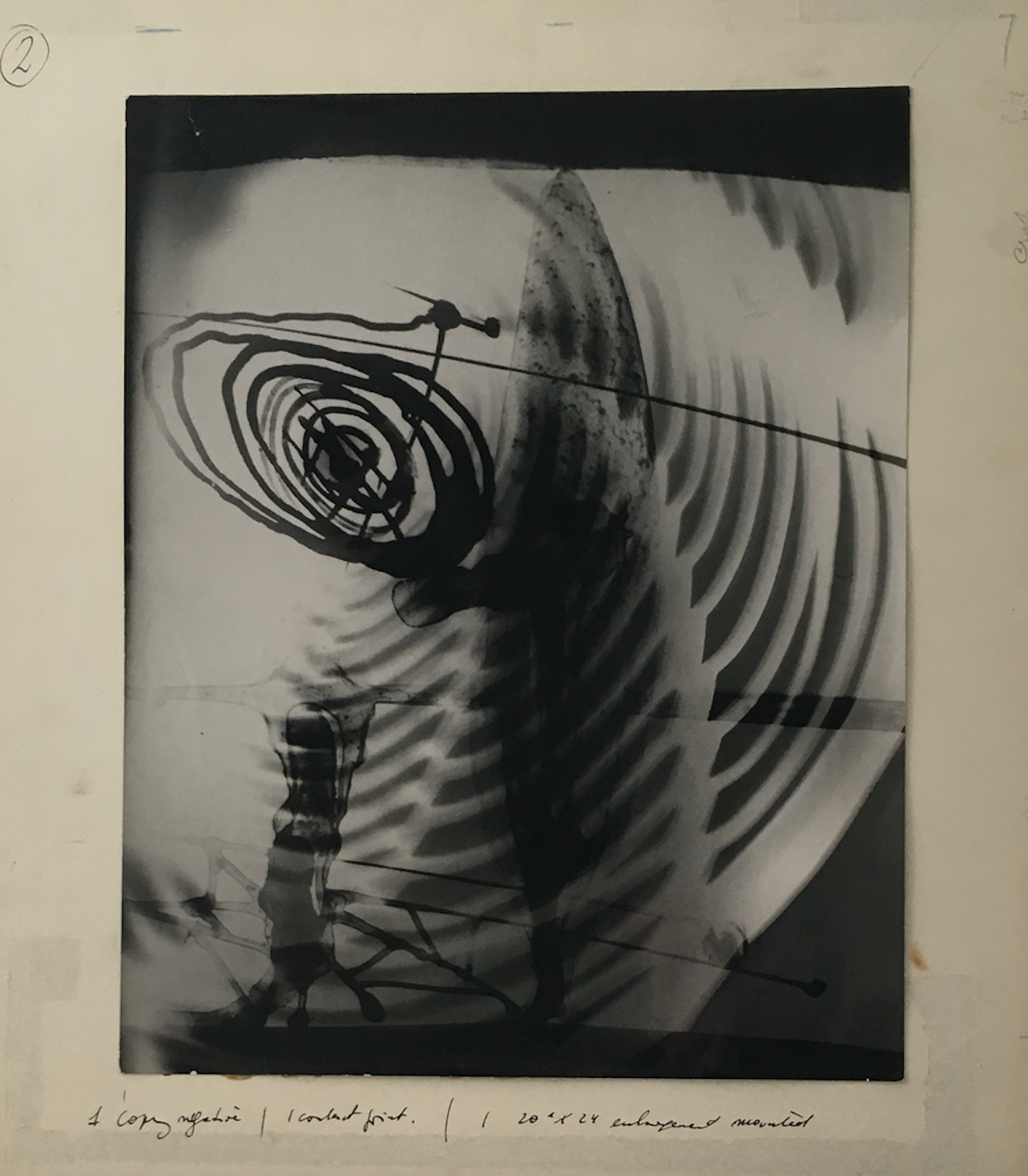György Kepes, Movement and Balance, 1941, Vintage Gelatin Silver Print, 14 x 11 « , Galerie Françoise Paviot. FRANÇOISE PAVIOT & VINTAGE WORKS 