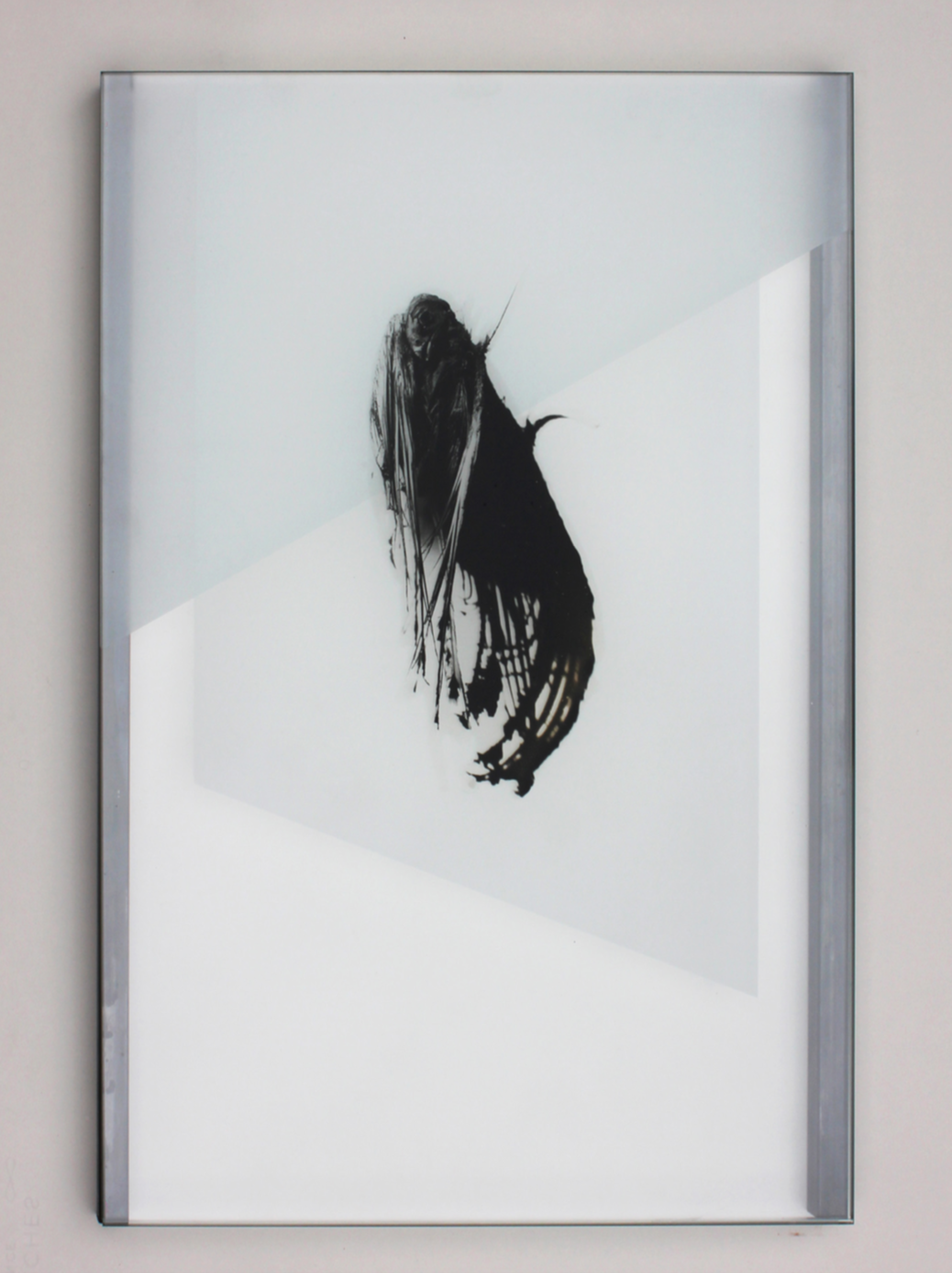 Pia Rondé & Fabien Saleil, Les profanes #02, 2020 photographie argentique, mousseline, acier 60 x 40 cm. Unique, courtesy galerie Valeria Cetraro.