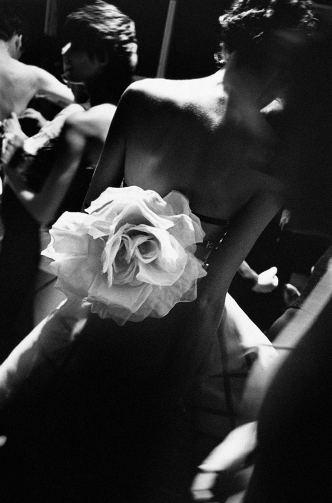 photographie noir et blanc fleur