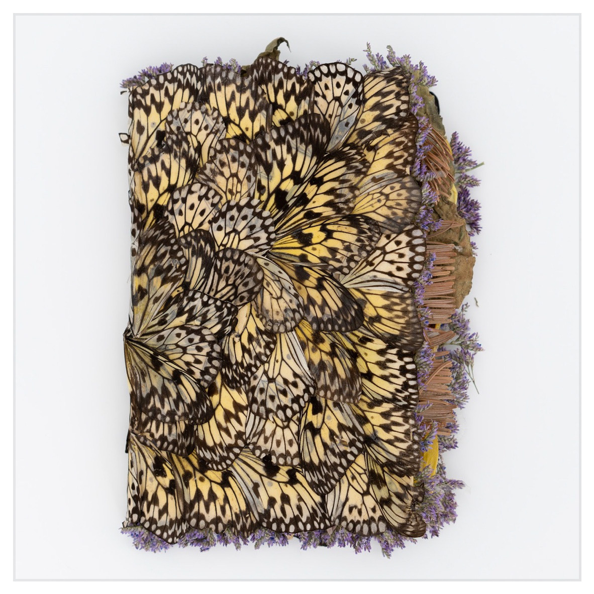 Rachel Marks, Diary II ailes de papillons, pétals, feuilles, épines de pin, couverture de livre 17 x 24 x 6 cm 2020 photo : François Xavier Watine