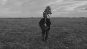 homme et arbre