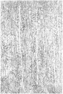dessin noir et blanc