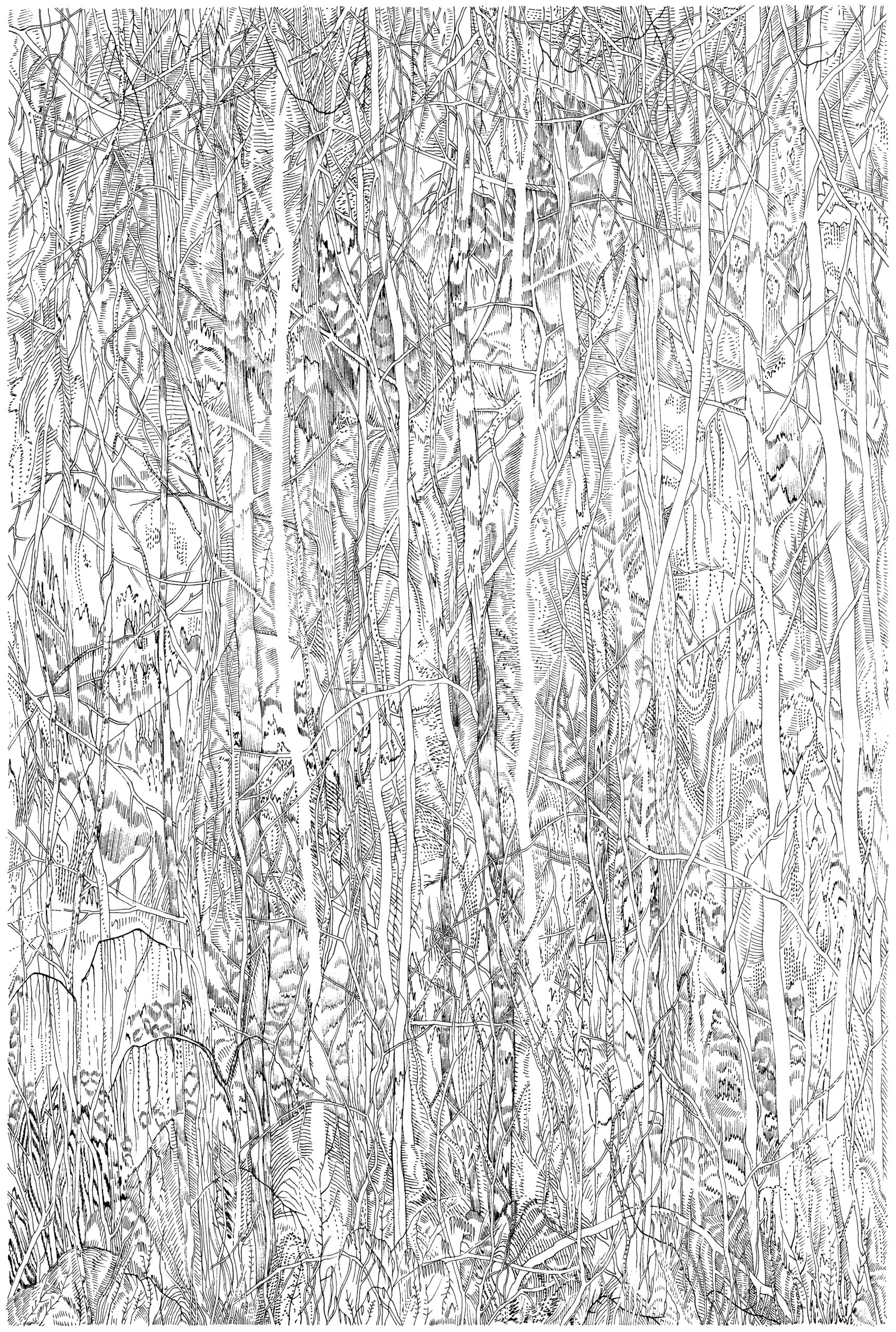 Eva Jospin Dessin préparatoire pour la Foret de soie, 2021 encre sur papier, 36 x 26 cm © Eva Jospin