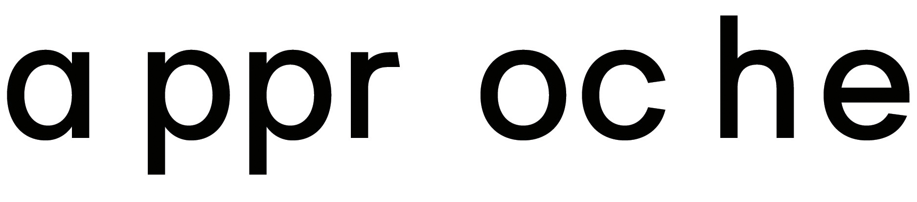 a ppr oc he – Logo