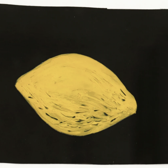 Le citron est la fleur la plus sincère. Exposition Galerie Les Filles du Calvaire, Mateo Revillo, Défixion Limone III
