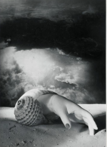 Dora Maar (Henriette Théodora Markovitch, dite) (1907, France - 1997, France) Sans titre [Main-coquillage]