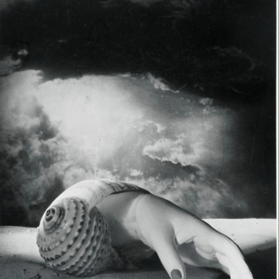 Dora Maar (Henriette Théodora Markovitch, dite) (1907, France - 1997, France) Sans titre [Main-coquillage]