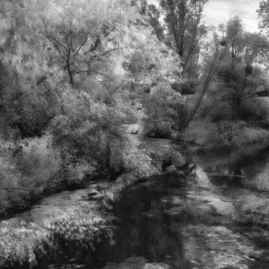 Sophie ZÉNON, MANHOUE (LA SEILLE) 2022 Composition photographique 114 x 80 cm. Tirage au charbon (piezzographie) sur papier coton.