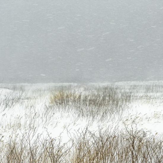 Catherine Henriette, Le Bruit du vent, Leica Gallery, Paris.