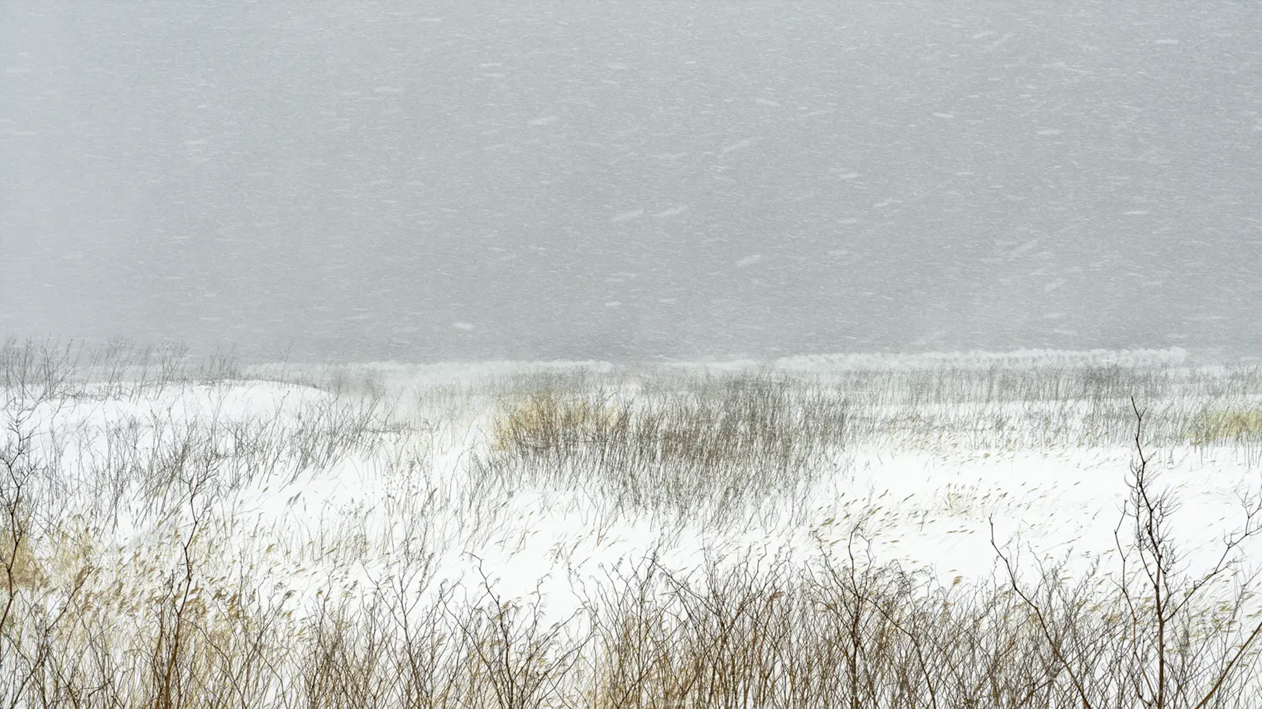 Catherine Henriette, Le Bruit du vent, Leica Gallery, Paris.